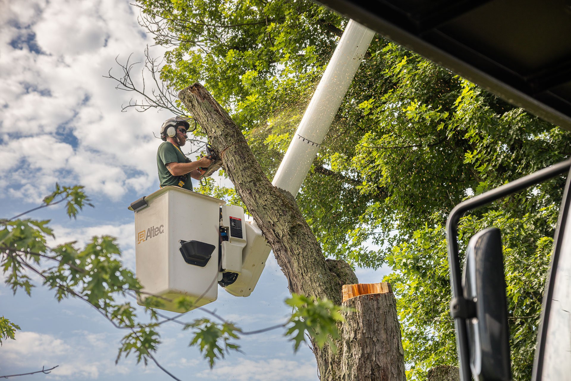 bucket truck dead tree removal pruning chainsaw 5